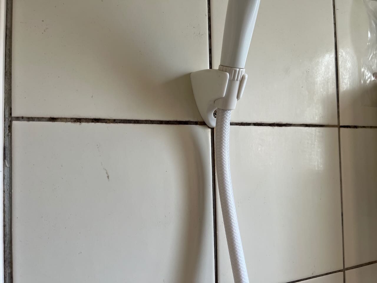 中壢興仁路浴室蓮蓬頭旁磁磚縫黴菌清潔前